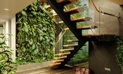 Làm vườn giếng trời 200 triệu, sau 3 tháng chủ nhà còn lại mớ lá rụng